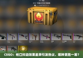 CSGO：枪口抖动效果差异引发热议，哪种更胜一筹？