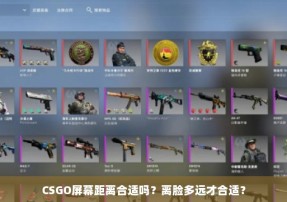 CSGO屏幕距离合适吗？离脸多远才合适？