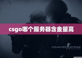 csgo哪个服务器含金量高