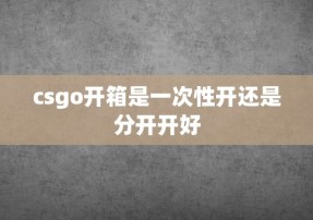 csgo开箱是一次性开还是分开开好