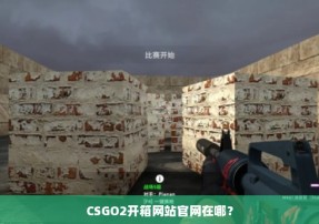 CSGO2开箱网站官网在哪？