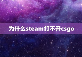 为什么steam打不开csgo