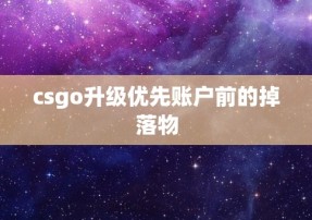 csgo升级优先账户前的掉落物