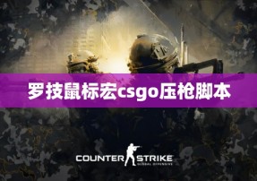 罗技鼠标宏csgo压枪脚本