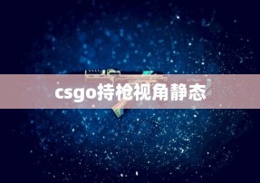 csgo持枪视角静态