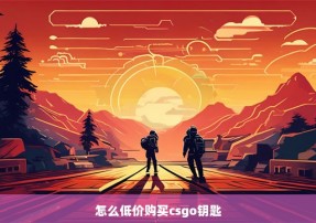 怎么低价购买csgo钥匙