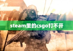 steam里的csgo打不开