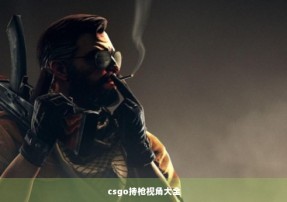 csgo持枪视角大全