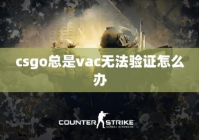 csgo总是vac无法验证怎么办