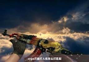 csgo只能打人机怎么打匹配