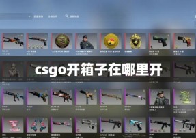 csgo开箱子在哪里开