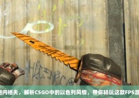 走进内格夫，解析CSGO中的以色列风情，带你畅玩这款FPS游戏！