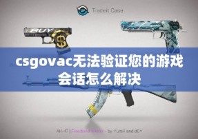 csgovac无法验证您的游戏会话怎么解决