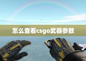 怎么查看csgo武器参数