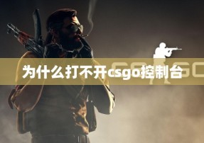 为什么打不开csgo控制台