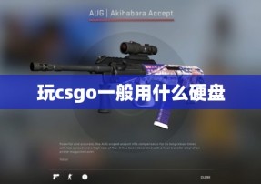 玩csgo一般用什么硬盘