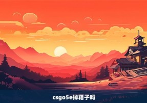 csgo5e掉箱子吗