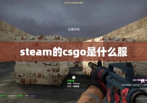 steam的csgo是什么服