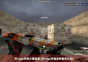 打csgo开多少回报率 (打csgo开麦没声音怎么办)