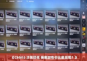 《CSGO2 沙鹰印花 换哪款性价比最高呢？》