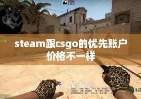 steam跟csgo的优先账户价格不一样