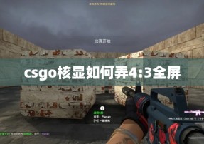 csgo核显如何弄4:3全屏