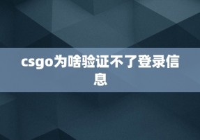 csgo为啥验证不了登录信息