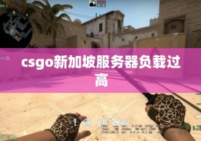 csgo新加坡服务器负载过高