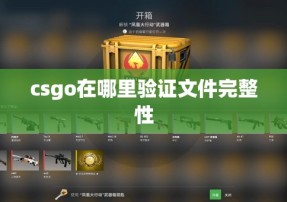 csgo在哪里验证文件完整性