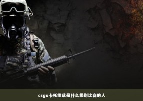 csgo卡托维兹是什么级别比赛的人