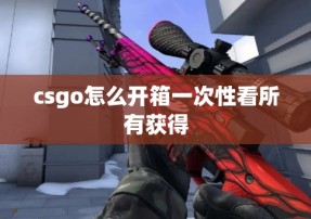 csgo怎么开箱一次性看所有获得