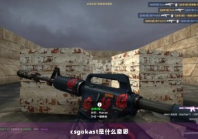 csgokast是什么意思