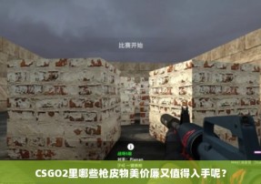 CSGO2里哪些枪皮物美价廉又值得入手呢？