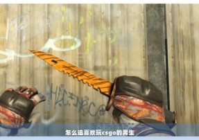 怎么追喜欢玩csgo的男生