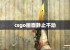 csgo画面静止不动