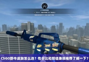 CSGO野牛皮肤怎么选？性价比和颜值兼顾推荐了解一下？