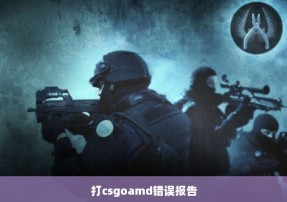 打csgoamd错误报告