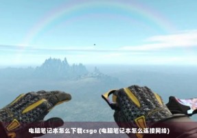 电脑笔记本怎么下载csgo (电脑笔记本怎么连接网络)