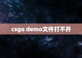 csgo demo文件打不开