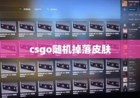 csgo随机掉落皮肤