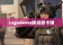 csgodemo快进后卡顿