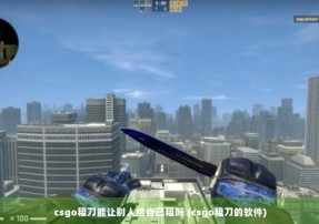 csgo租刀能让别人给自己租吗 (csgo租刀的软件)