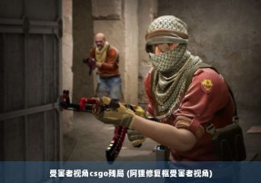 受害者视角csgo残局 (阿狸修复框受害者视角)