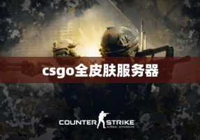 csgo全皮肤服务器