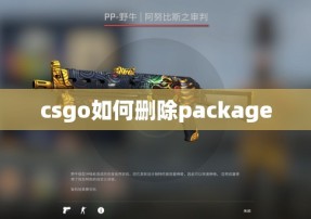 csgo如何删除package