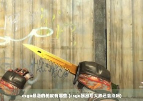 csgo暴涨的枪皮有哪些 (csgo暴涨后大跌还会涨吗)