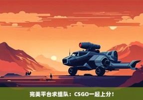 完美平台求组队：CSGO一起上分！