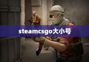 steamcsgo大小号