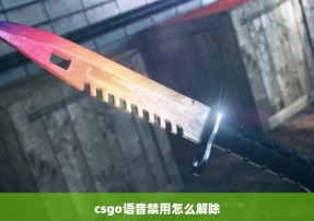 csgo语音禁用怎么解除