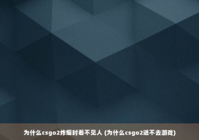 为什么csgo2炸烟时看不见人 (为什么csgo2进不去游戏)